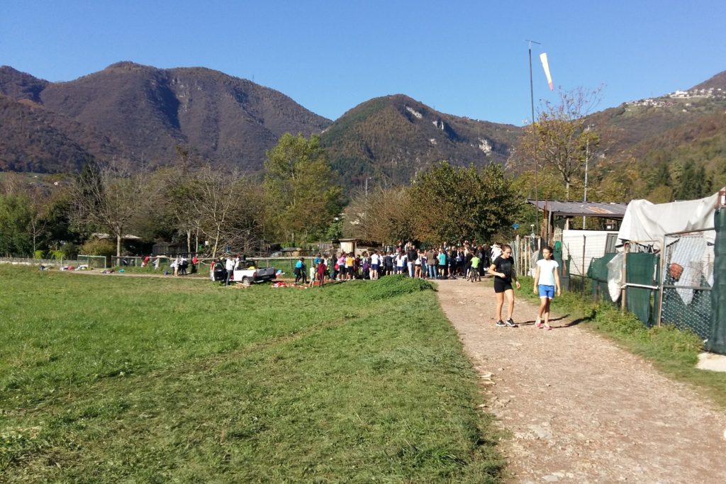 Visualizza le immagini della campestre