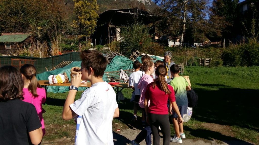 Visualizza le immagini della campestre